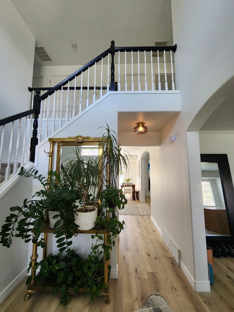 Interior Repaint Riverton
